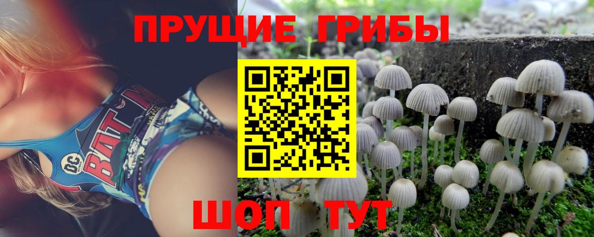 Псилоцибиновые грибы мухоморы  Вход с VPN  купить наркотики сайты  Назарово 
