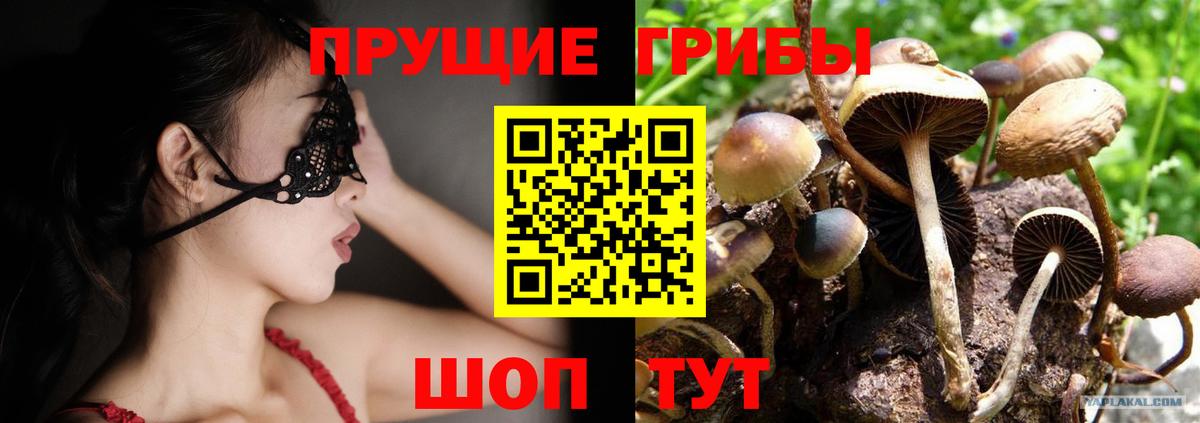 Псилоцибиновые грибы Cubensis Назарово